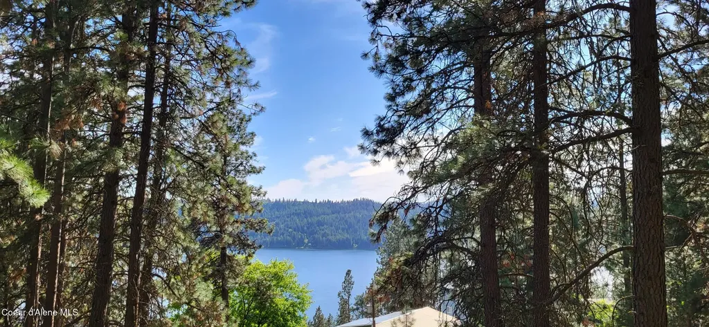 Lot 9 & 10 E Crows Nest Road Harrison ID 83833