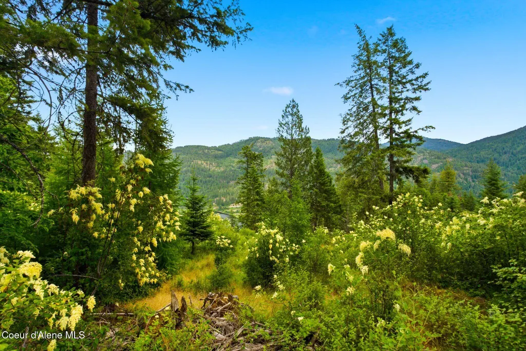 G10 Forest Highland Sandpoint ID 83864