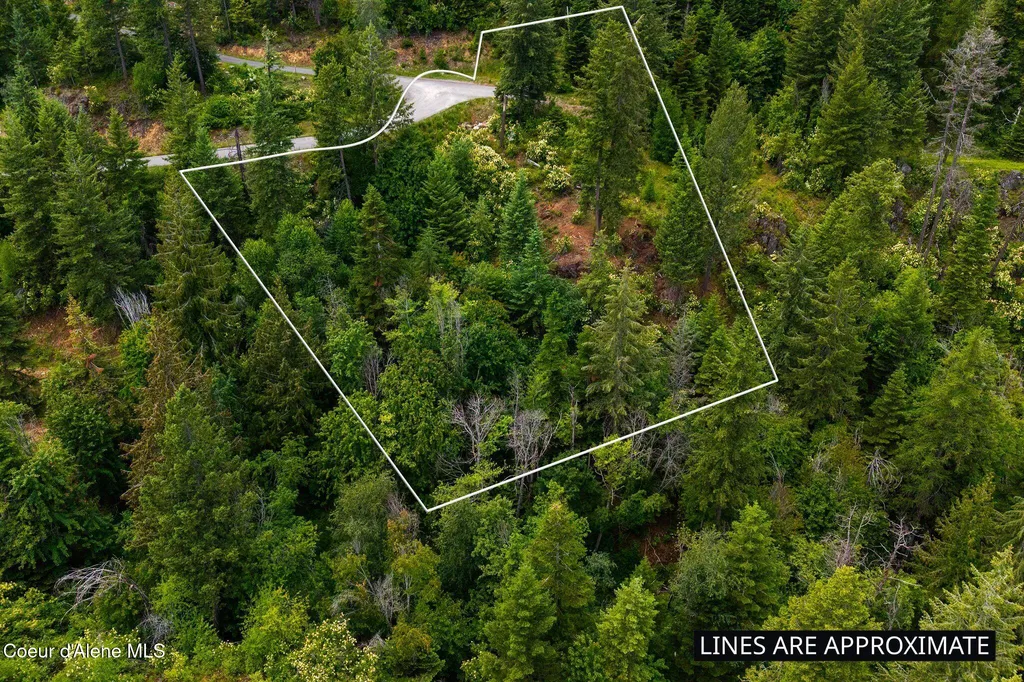 G10 Forest Highland Sandpoint ID 83864