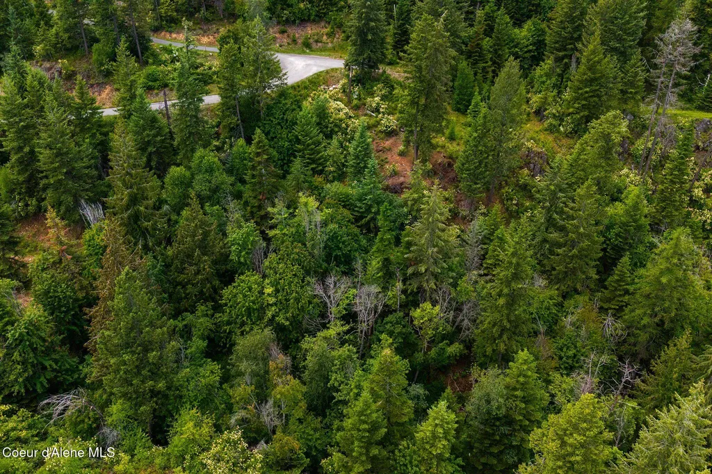 G10 Forest Highland Sandpoint ID 83864