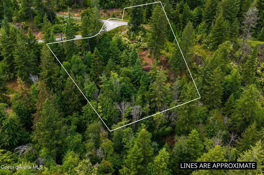 G10 Forest Highland Sandpoint ID 83864