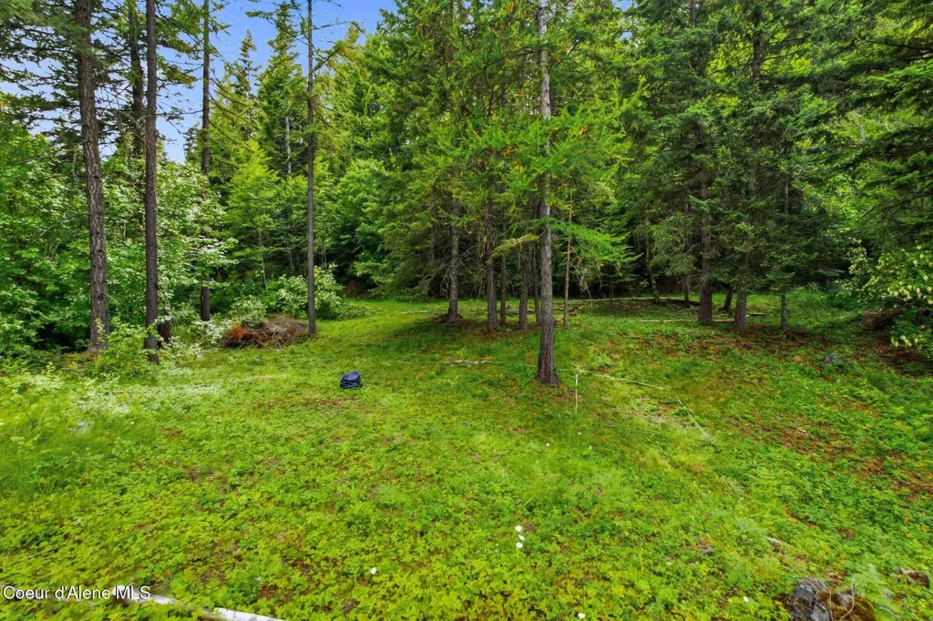 G10 Forest Highland Sandpoint ID 83864