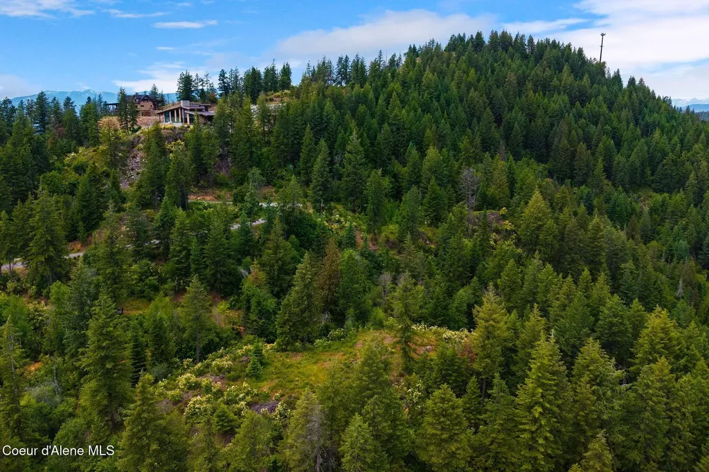 G10 Forest Highland Sandpoint ID 83864