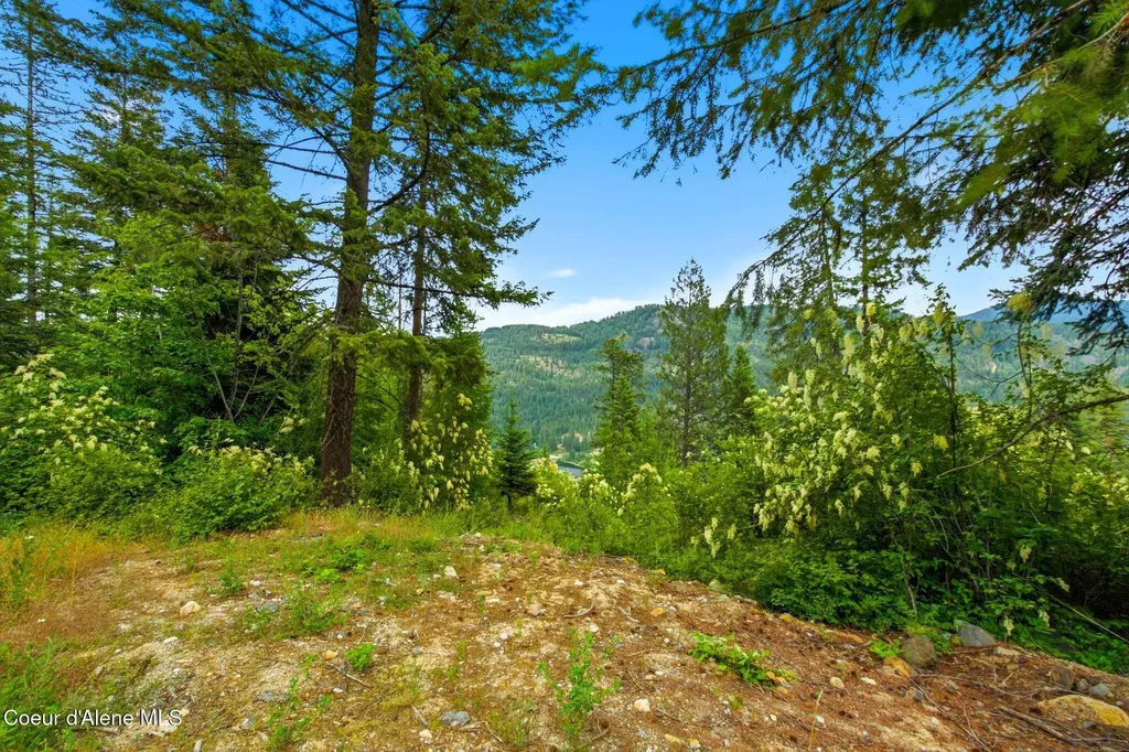 G10 Forest Highland Sandpoint ID 83864