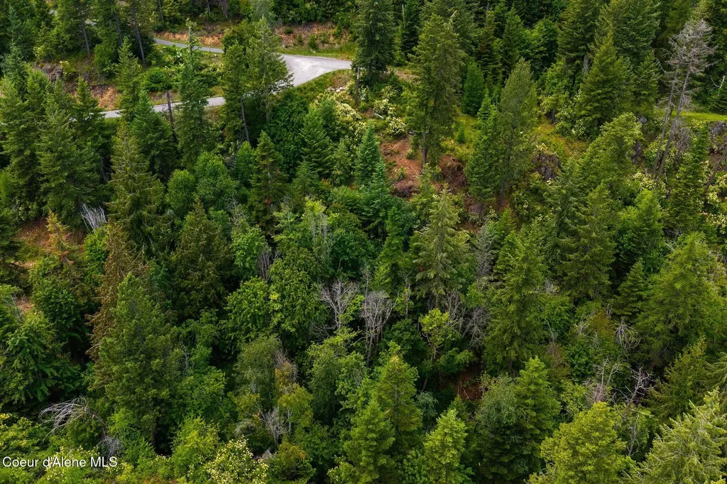 G10 Forest Highland Sandpoint ID 83864