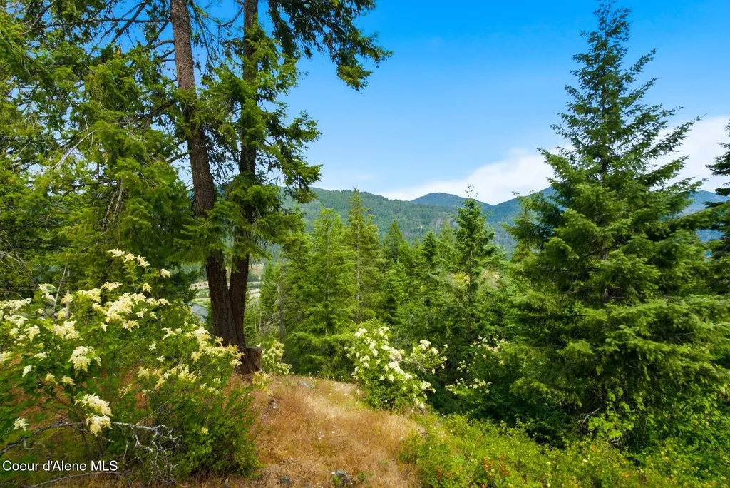 G10 Forest Highland Sandpoint ID 83864