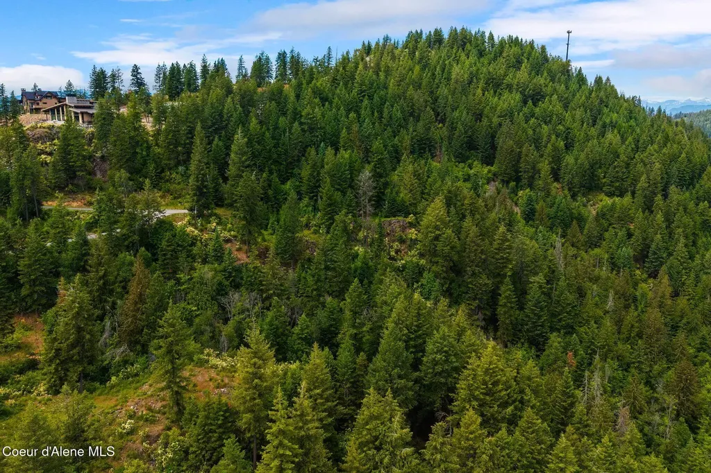G10 Forest Highland Sandpoint ID 83864
