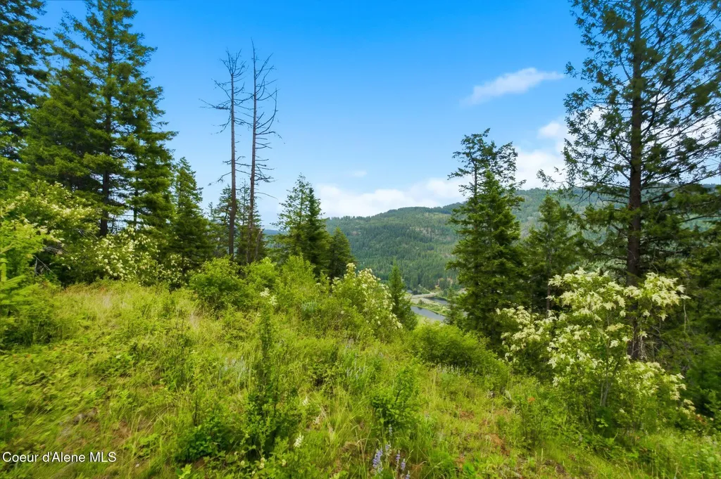 G10 Forest Highland Sandpoint ID 83864