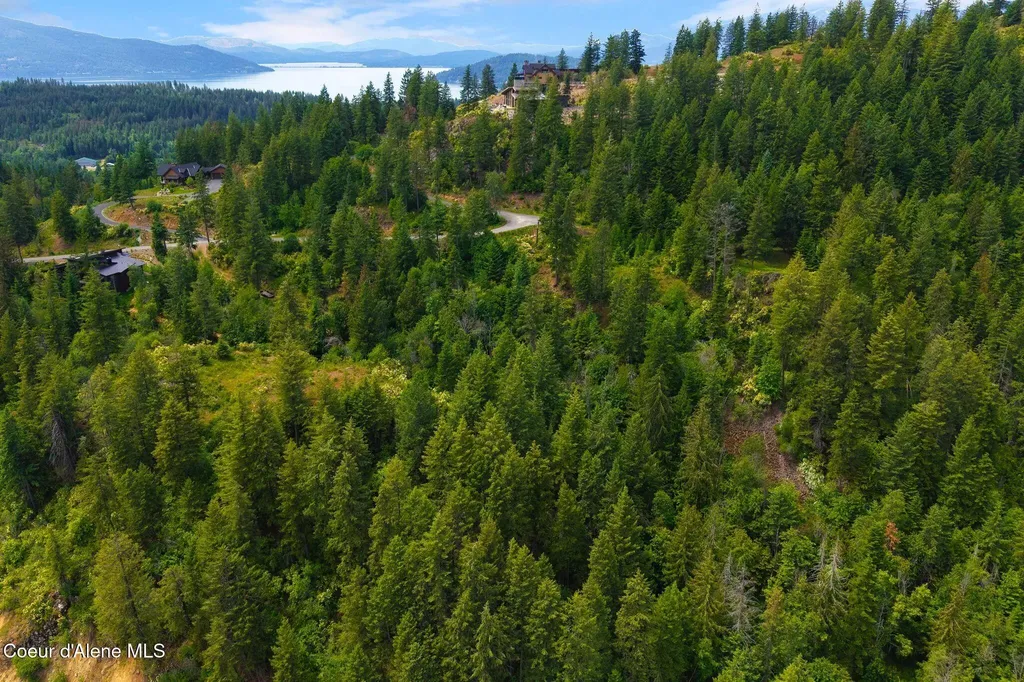 G10 Forest Highland Sandpoint ID 83864