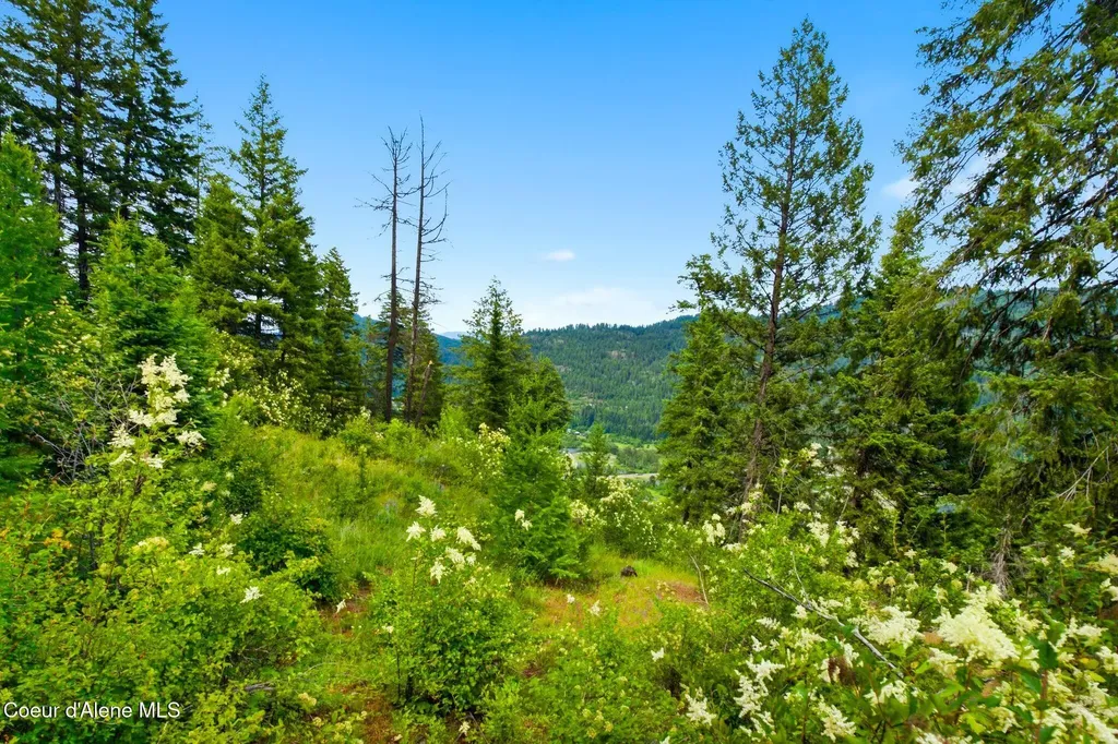 G10 Forest Highland Sandpoint ID 83864