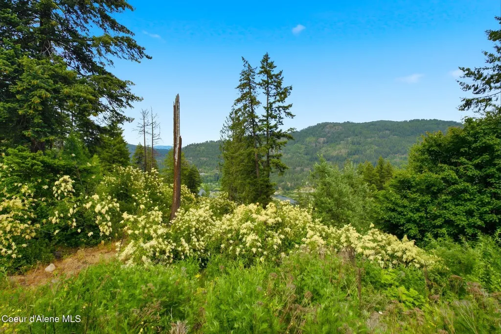 G10 Forest Highland Sandpoint ID 83864