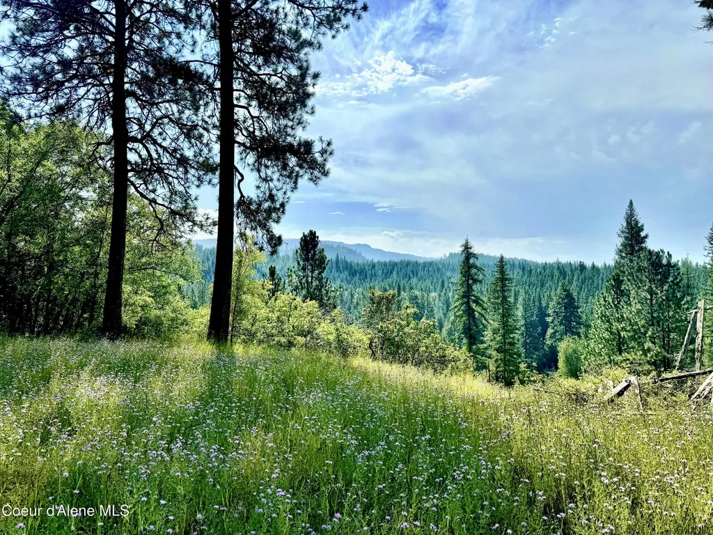 Lots 4, 5, 6 Gunsmoke Lane Priest River ID 83856