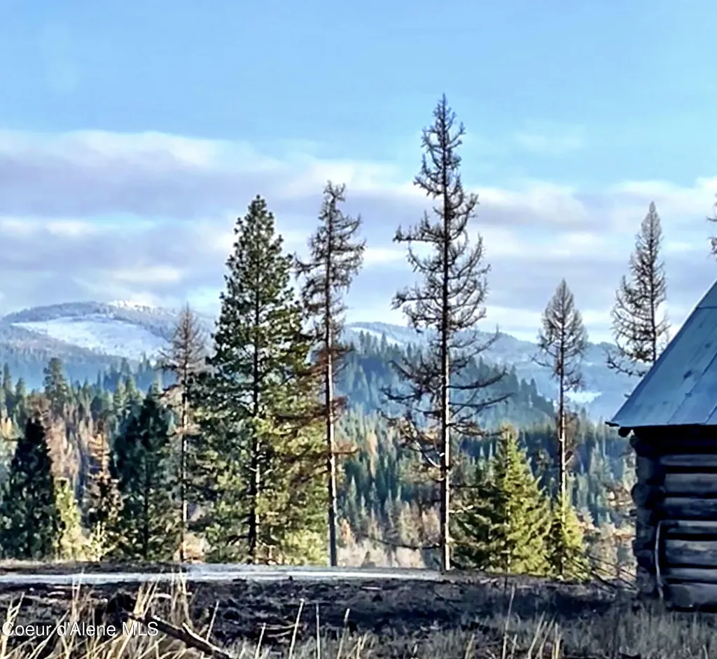 Lots 4, 5, 6 Gunsmoke Lane Priest River ID 83856