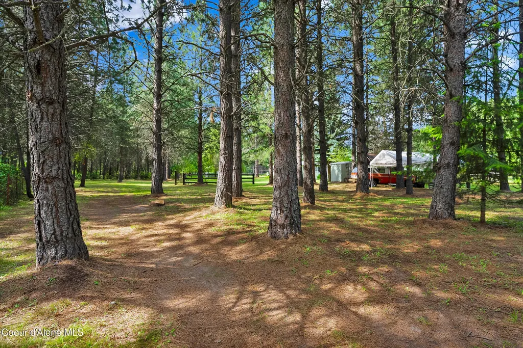 443 Herrmann Lake Road Sagle ID 83860