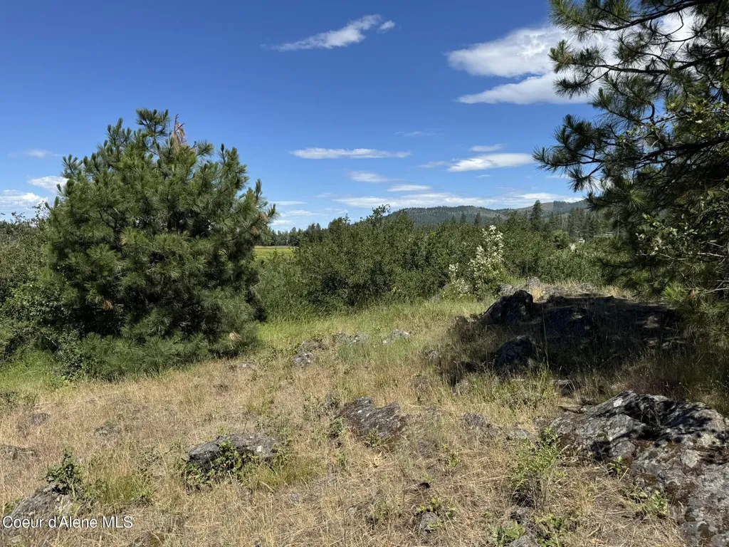 Nna Rusho Lane 55.11 Blanchard ID 83804