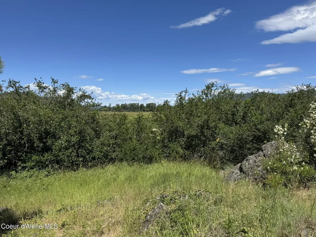 Nna Rusho Lane 55.11 Blanchard ID 83804