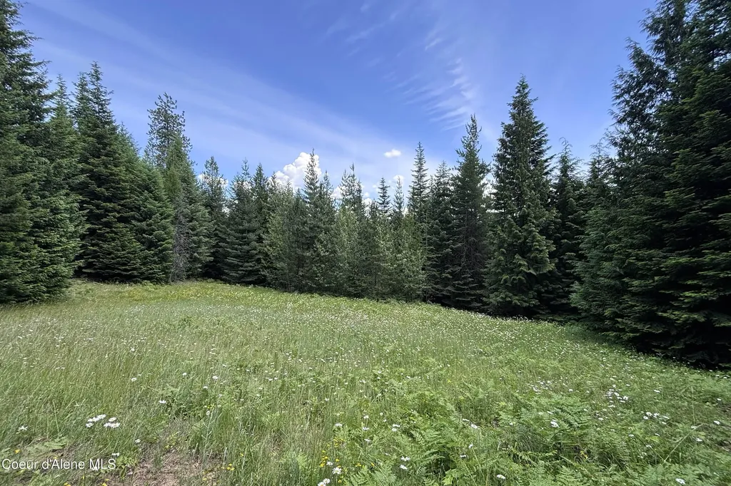 1046 Saddleback Drive Naples ID 83847