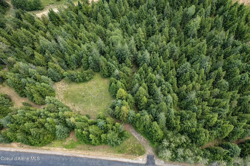 1046 Saddleback Drive Naples ID 83847