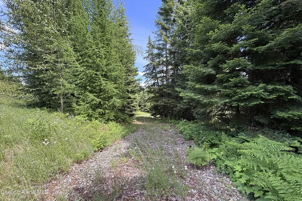 1046 Saddleback Drive Naples ID 83847