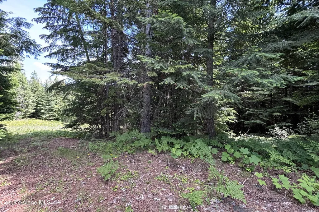 1046 Saddleback Drive Naples ID 83847