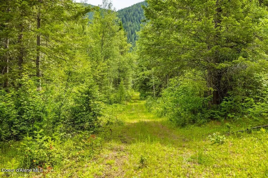 4345 Wilcox Road Northport WA 99157