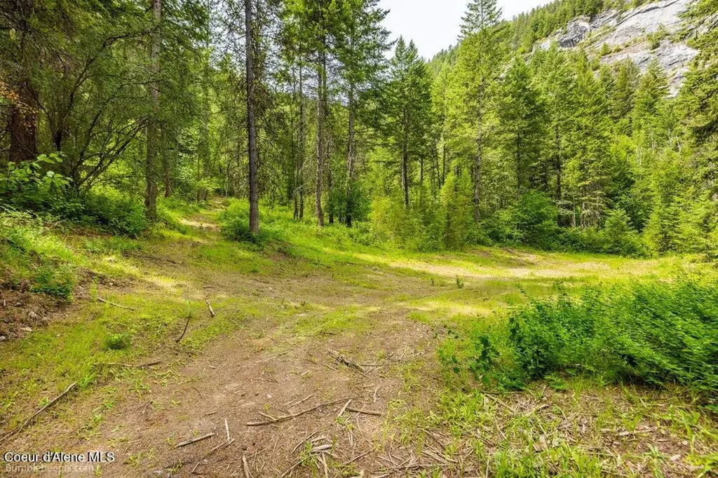 4345 Wilcox Road Northport WA 99157