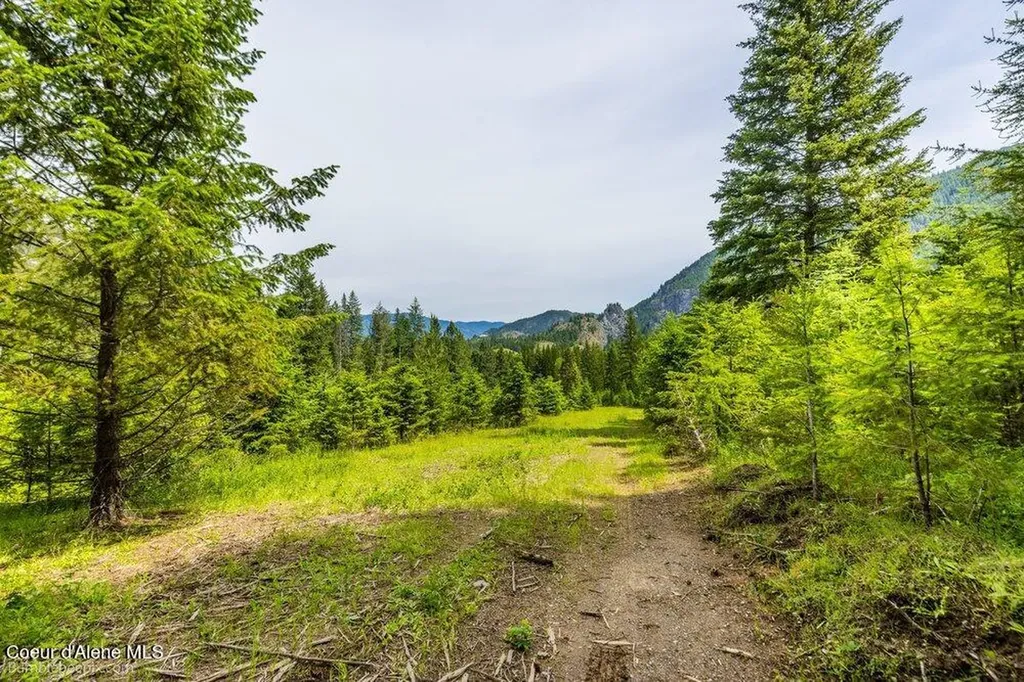 4345 Wilcox Road Northport WA 99157