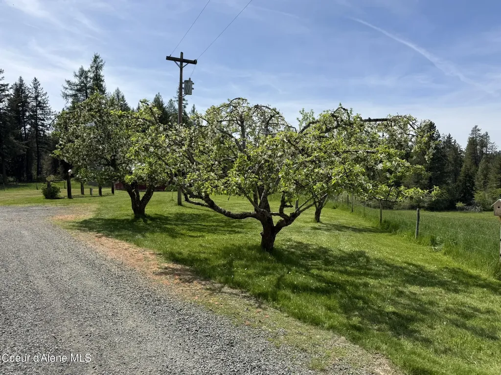 10334 Sanders Road Tensed ID 83870