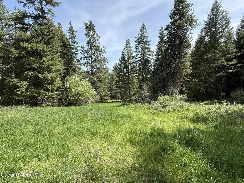 10334 Sanders Road Tensed ID 83870