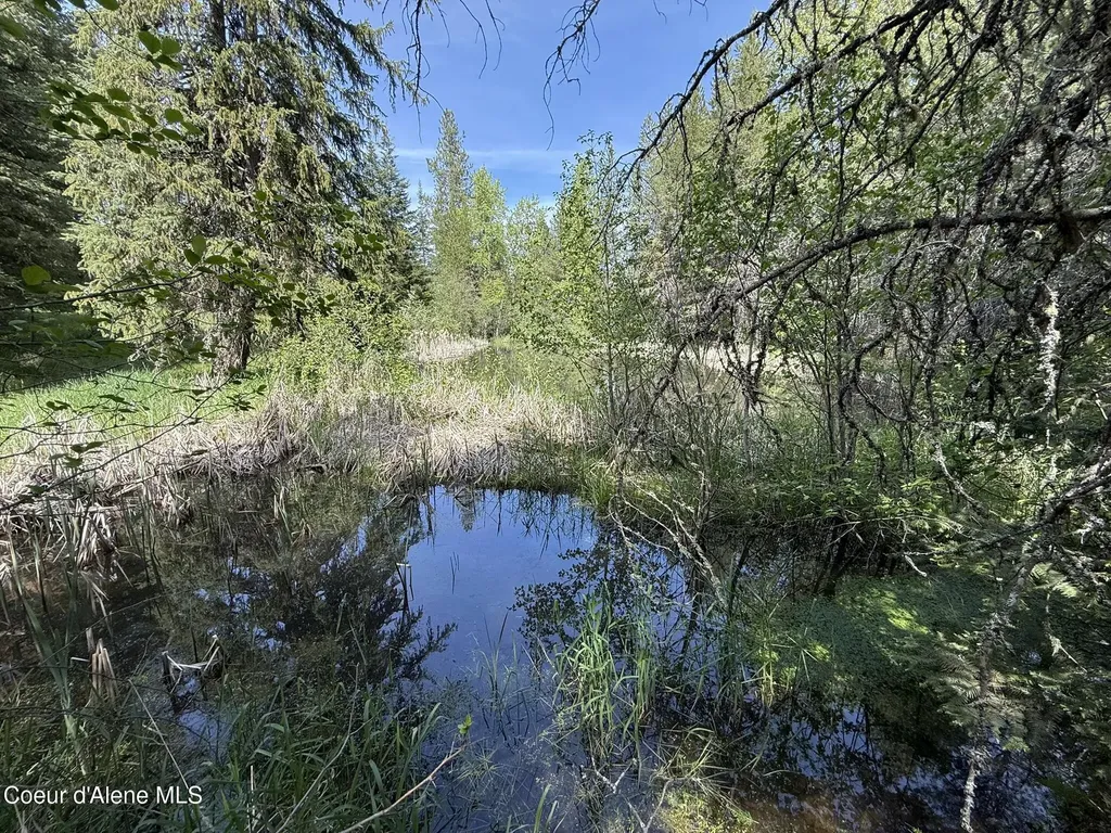 10334 Sanders Road Tensed ID 83870