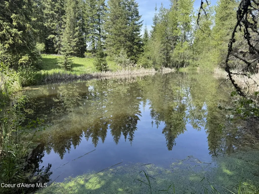 10334 Sanders Road Tensed ID 83870