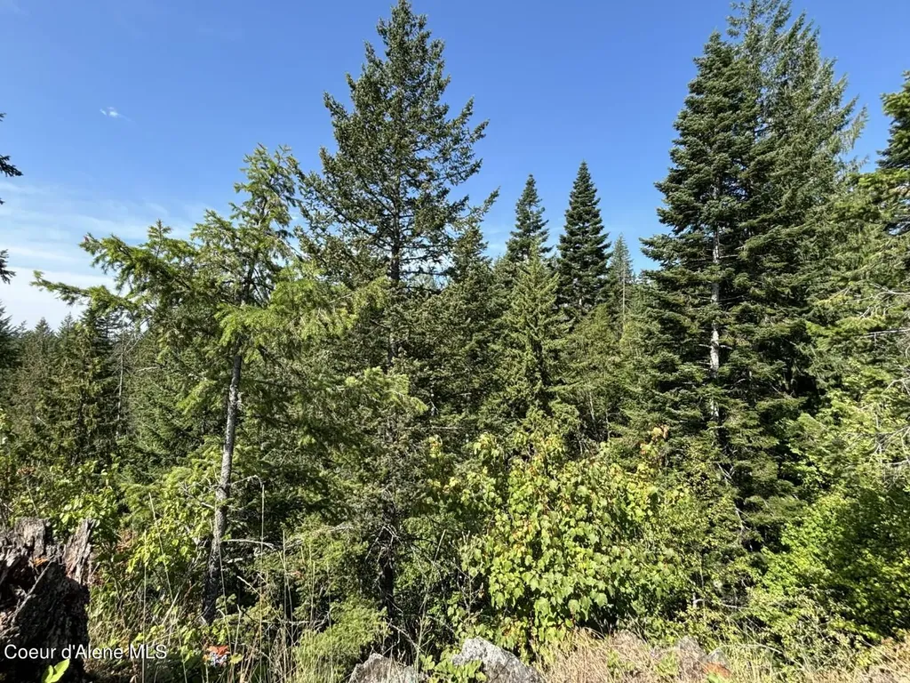 Nna S Idaho Club Drive Sandpoint ID 83864