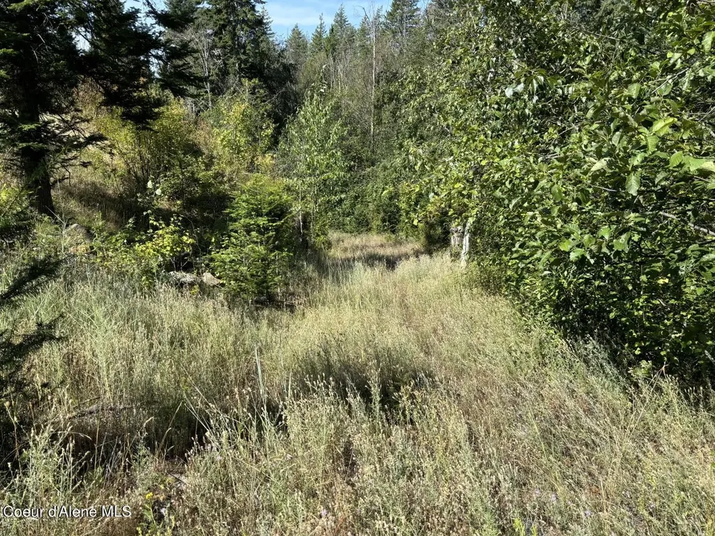 Nna S Idaho Club Drive Sandpoint ID 83864