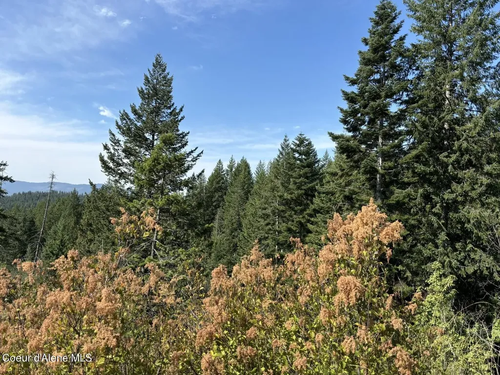 Nna S Idaho Club Drive Sandpoint ID 83864
