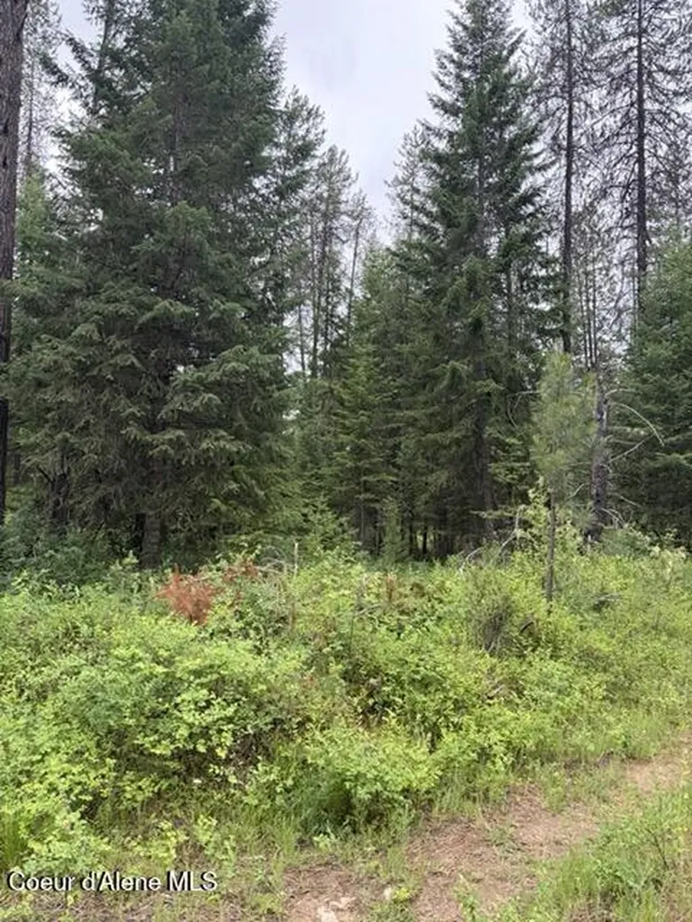 Nna Adams Street Spirit Lake ID 83869
