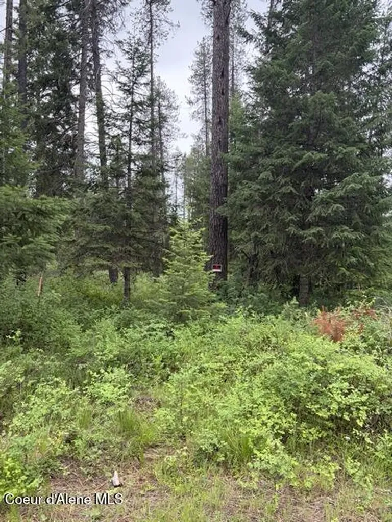 Nna Adams Street Spirit Lake ID 83869