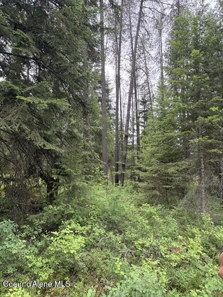 Nna Adams Street Spirit Lake ID 83869
