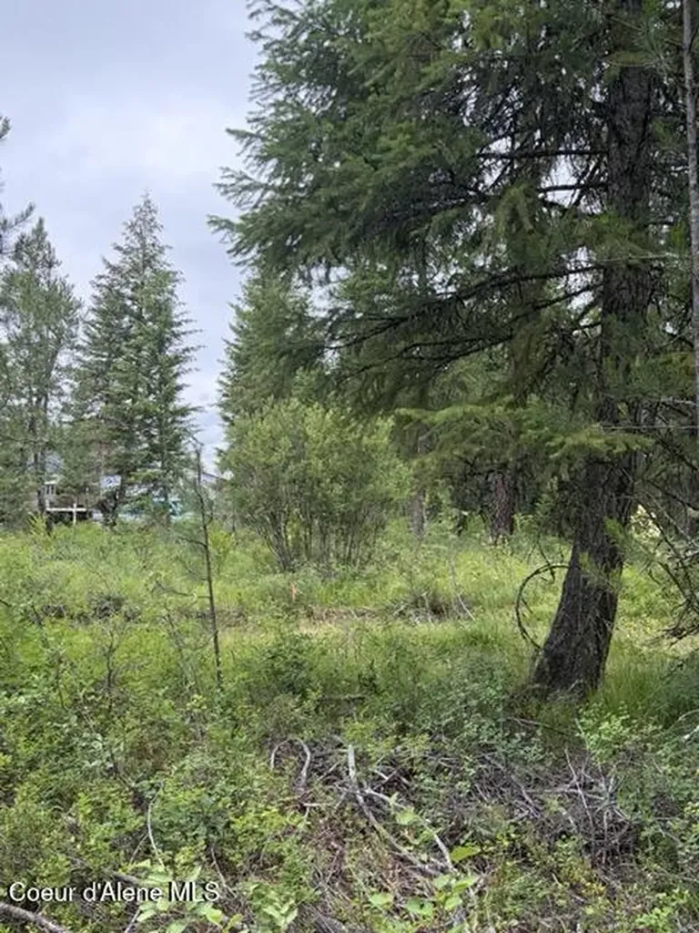 Nna Adams Street Spirit Lake ID 83869