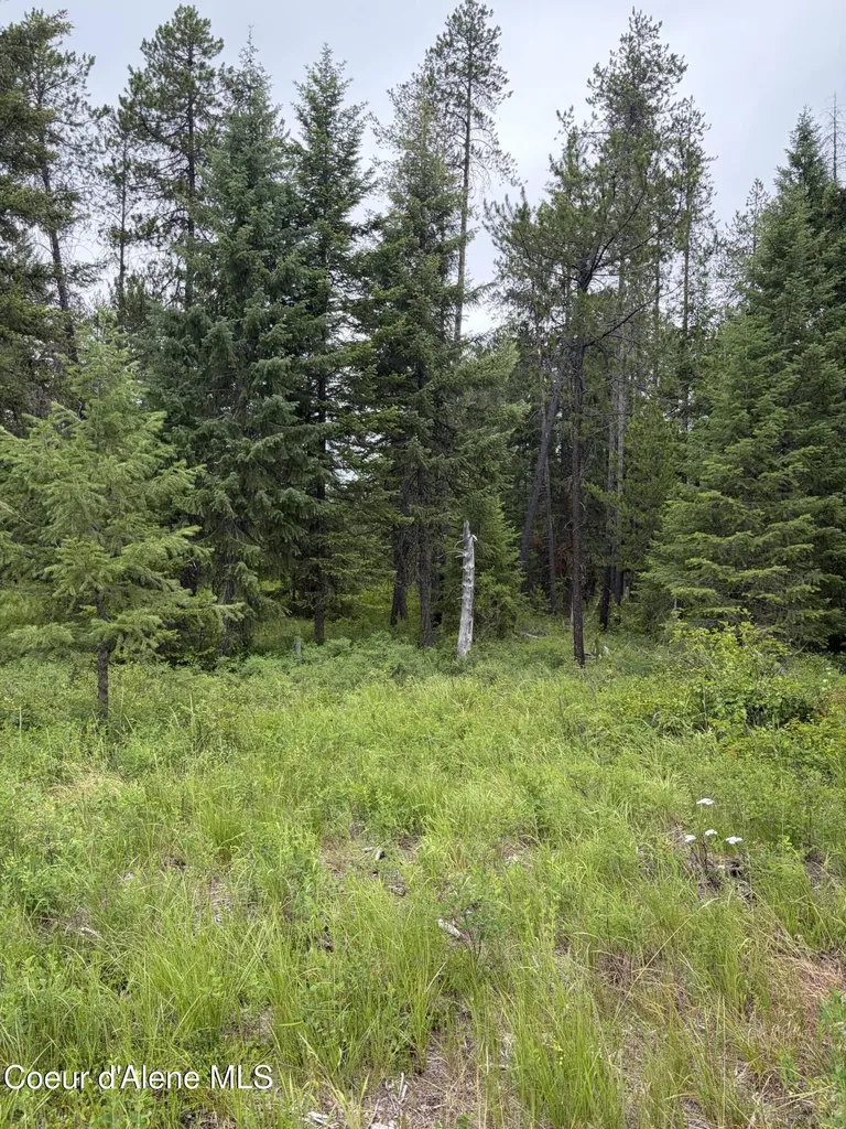 Nna Adams Street Spirit Lake ID 83869