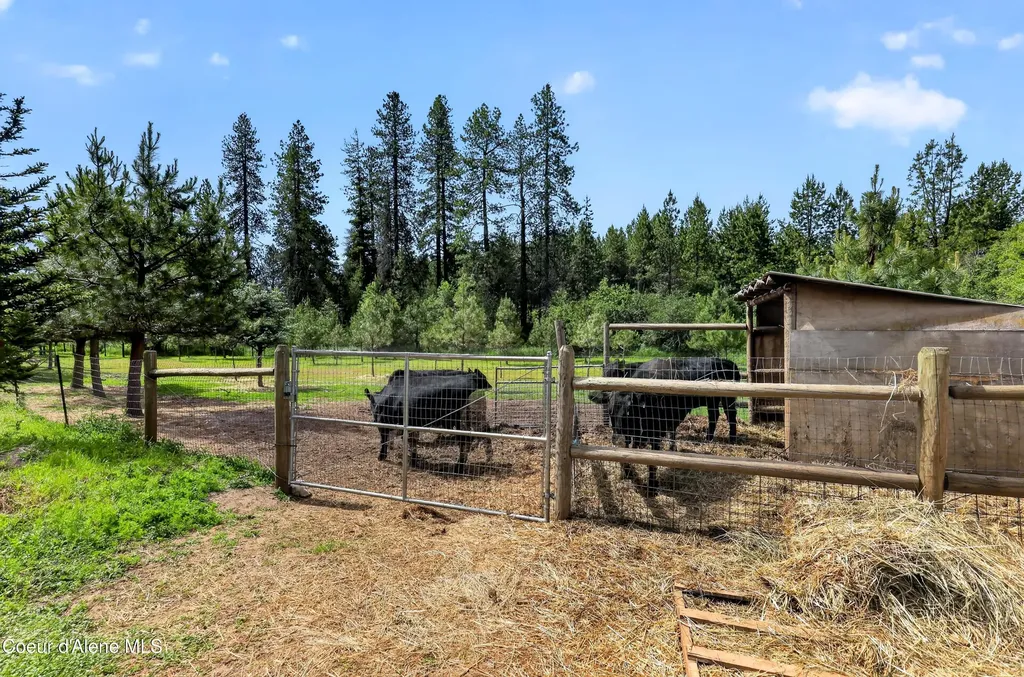 9831 W Hamaker Road Coeur D'alene ID 83814