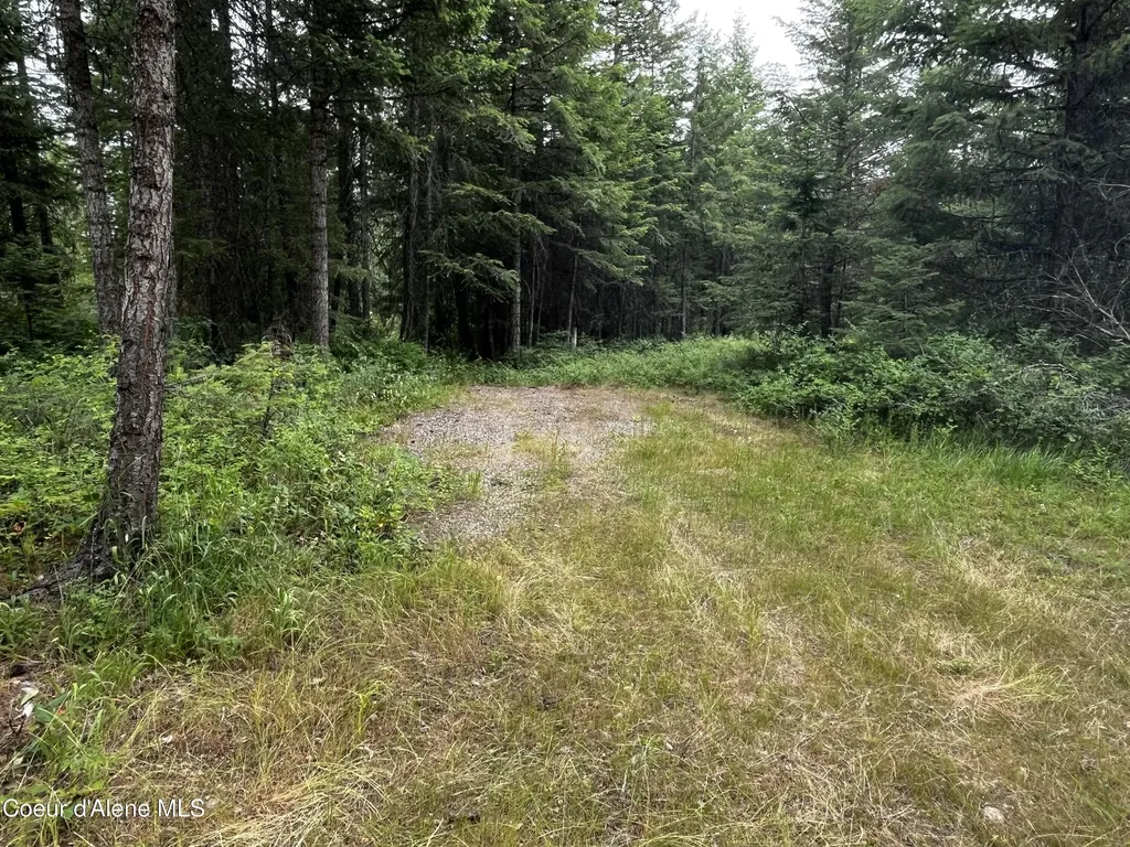 Nna Maine Street Spirit Lake ID 83869