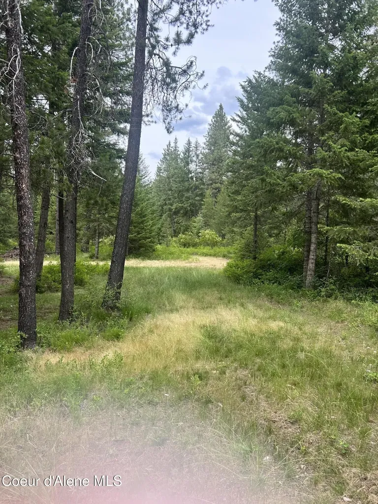 Nna Maine Street Spirit Lake ID 83869