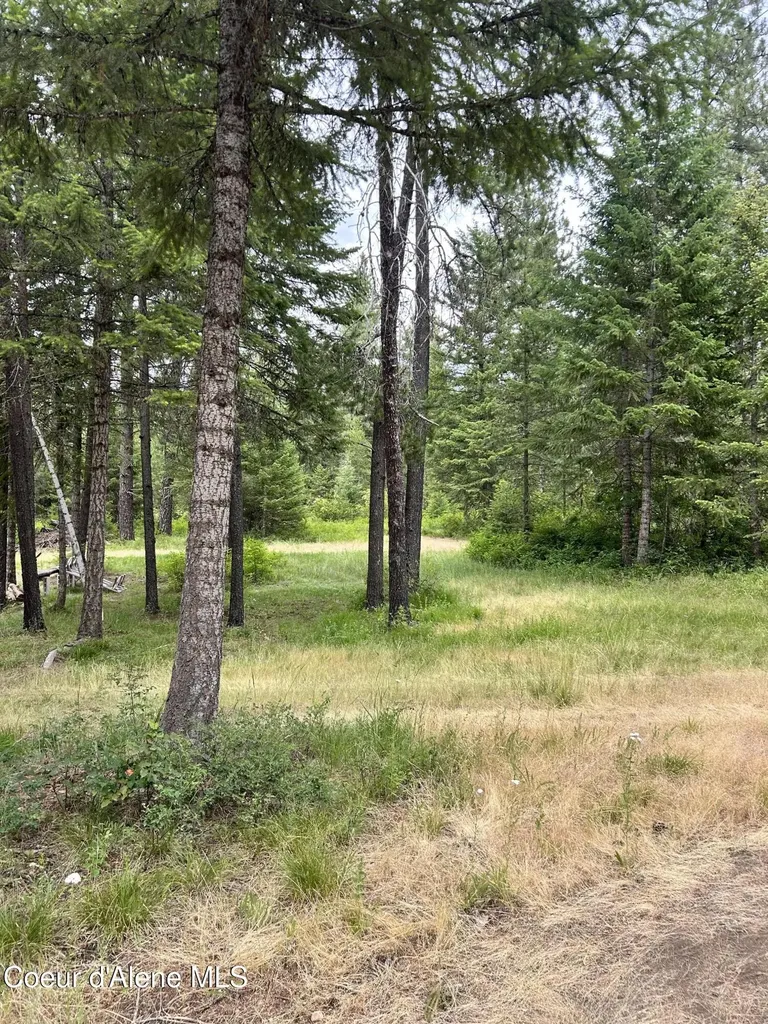 Nna Maine Street Spirit Lake ID 83869
