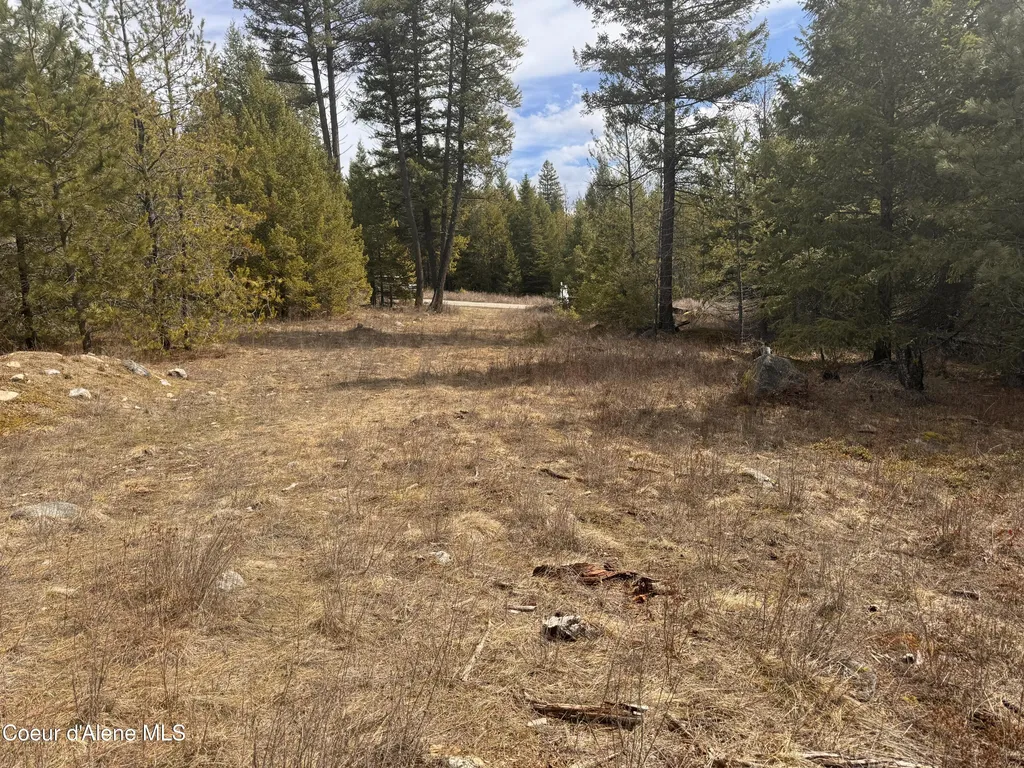 Nka E Lowland Drive Athol ID 83801