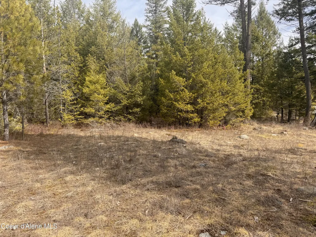 Nka E Lowland Drive Athol ID 83801