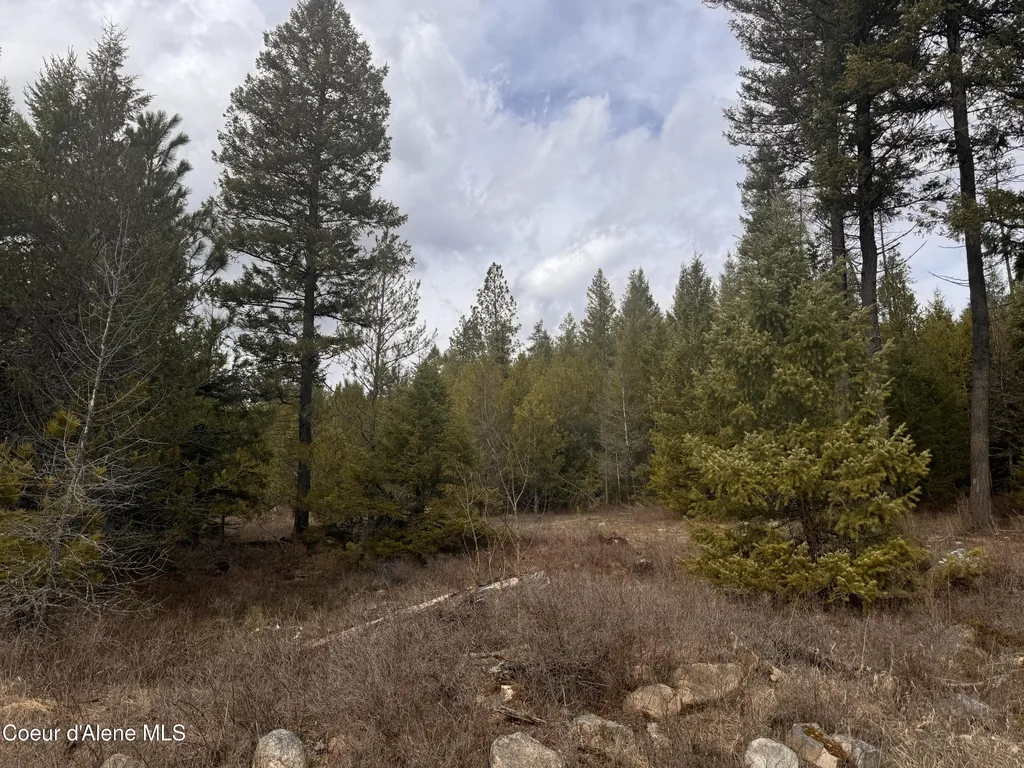 Nka E Lowland Drive Athol ID 83801