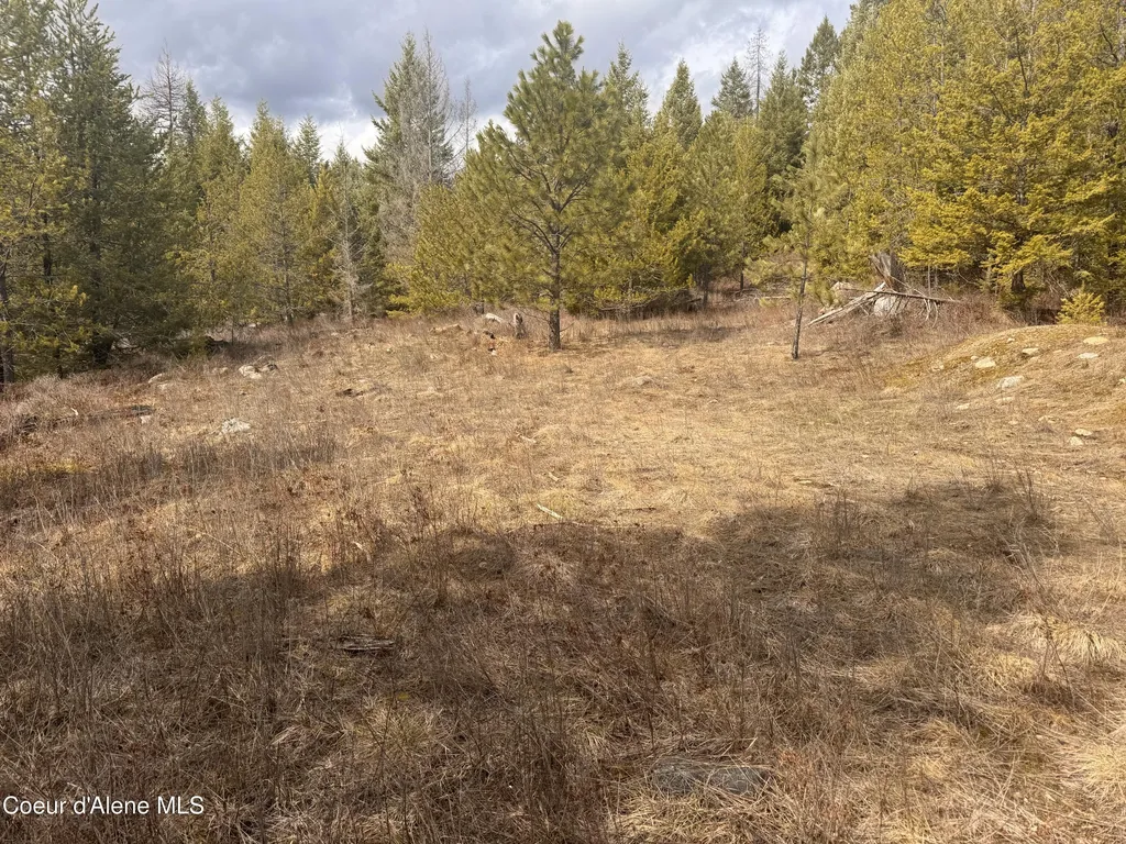 Nka E Lowland Drive Athol ID 83801