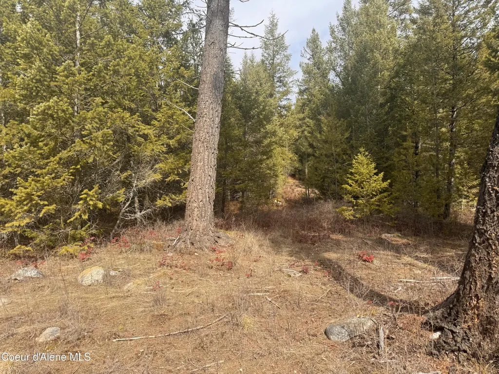 Nka E Lowland Drive Athol ID 83801