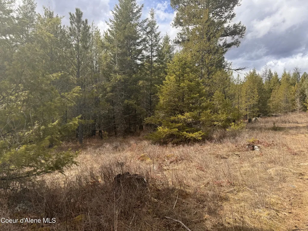 Nka E Lowland Drive Athol ID 83801