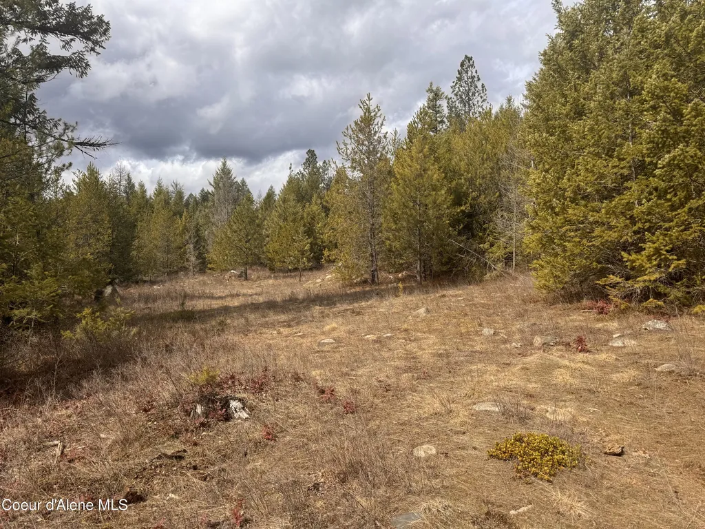 Nka E Lowland Drive Athol ID 83801